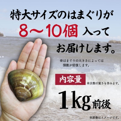 【しもい水産】三重県産 活きはまぐり 特大サイズ 1kg