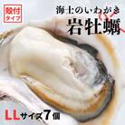 【のし付き】海士のいわがき 2.8kg〜3.5kg 巨大LLサイズ7個 岩牡蠣 牡蠣 CAS冷凍