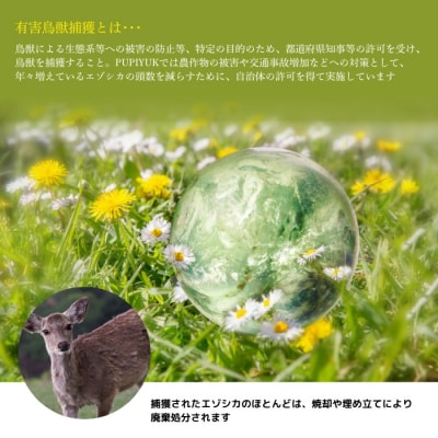 PIPIYUK　エゾ鹿肉フランクフルト