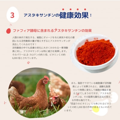 大熊養鶏場　かっぱの健卵　20個入り