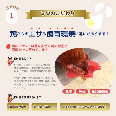 大熊養鶏場　かっぱの健卵　30個入り