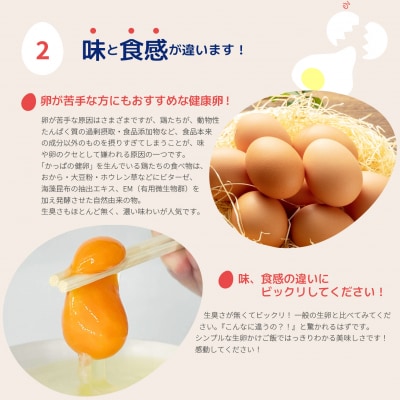 大熊養鶏場　かっぱの健卵　15個入り