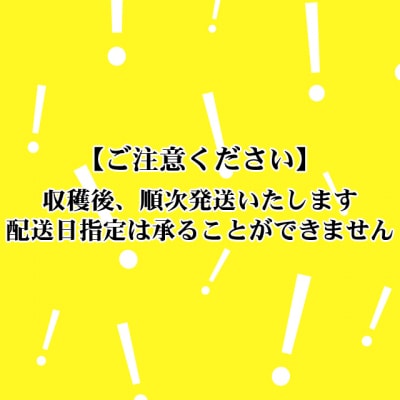 【2025年7月上旬頃から発送】北海道比布町産ブロッコリー　8個