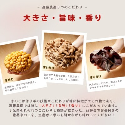 遠藤農産　ジャンボまいたけ・なめこセット