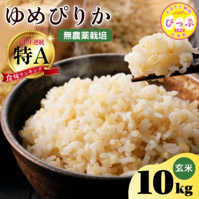 今野農園　ゆめぴりか　玄米10kg