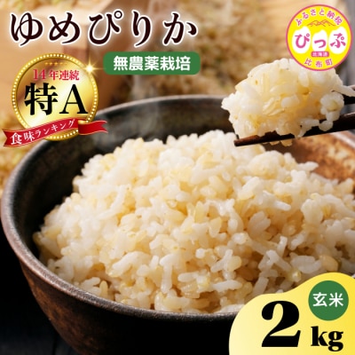 今野農園　ゆめぴりか　玄米2kg