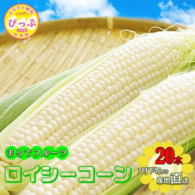 ふれあいファームたかだ畑　とうもろこし「ロイシーコーン」20本入り