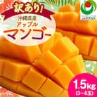 【2026年6月から順次発送・訳あり】アップルマンゴー1.5kg(3～6玉)