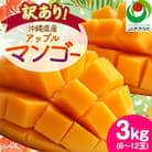 【2026年6月から順次発送・訳あり】アップルマンゴー3.0kg(6～12玉)