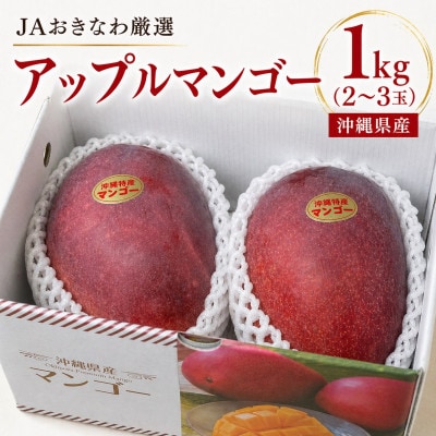 【2026年6月から順次発送・化粧箱】JA厳選のアップルマンゴー1kg(2～3玉)
