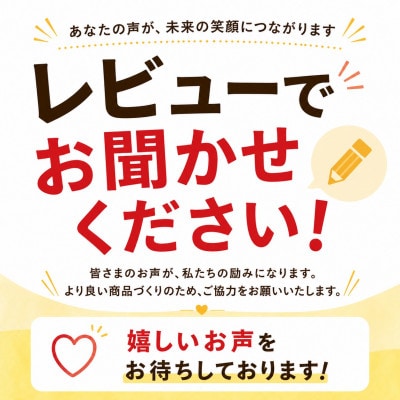 【2026年6月から順次発送・化粧箱】JA厳選のアップルマンゴー1kg(2～3玉)