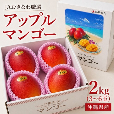 【2026年6月から順次発送・化粧箱】JA厳選のアップルマンゴー2kg(3～6玉)