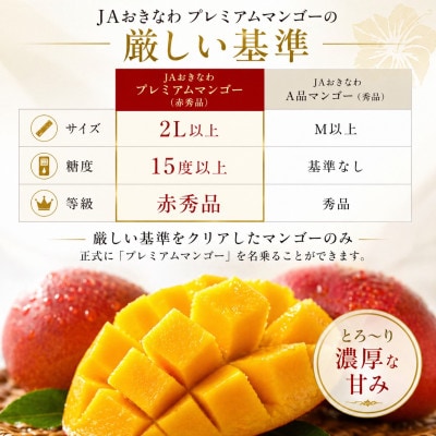 【2026年6月から順次発送】糖度15度以上!JAおきなわが厳正したプレミアムマンゴー4玉