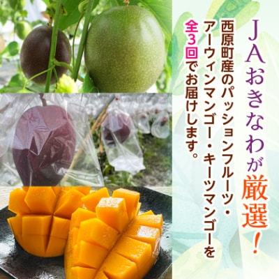 【発送月固定定期便】沖縄の豊かな自然で育ったフルーツ定期便全3回