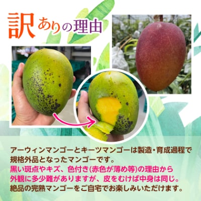 【発送月固定定期便】沖縄の豊かな自然で育ったフルーツ定期便全3回
