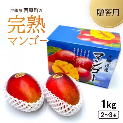 【2025年6月～7月頃の発送・贈答用】西原町の完熟マンゴー1kg