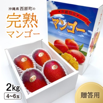 【2025年6月～7月頃の発送・贈答用】西原町の完熟マンゴー2kg