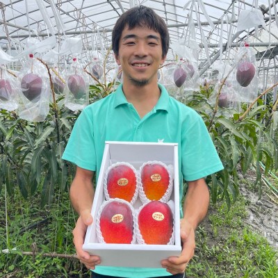 【2025年6月～7月頃の発送・贈答用】西原町の完熟マンゴー2kg