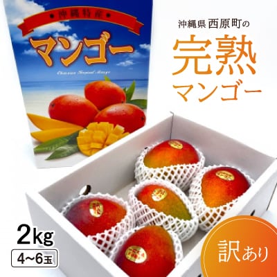 【2025年6月～7月頃の発送・訳あり】西原町の完熟マンゴー2kg
