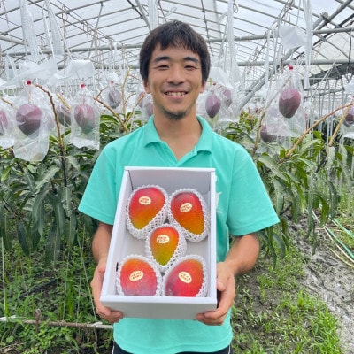 【2025年6月～7月頃の発送・訳あり】西原町の完熟マンゴー2kg
