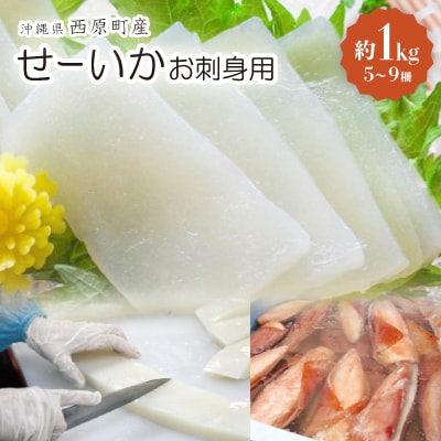セーイカ お刺身用 約1kg(5～9柵)