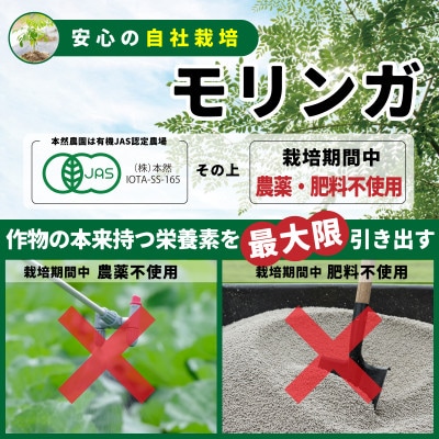 無添加モリンガパウダー(30g×2袋)