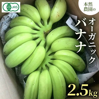 【有機JAS認証】本然農園のオーガニックバナナ2.5kg