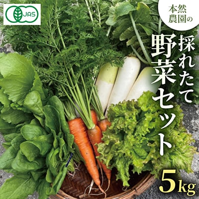 【有機JAS認証】本然農園の採れたて野菜セット5kg