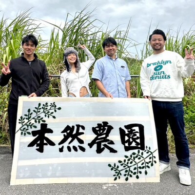 クラフトビール AGARIHAMA BREWERY×本然農園モリンガビール 6本セット