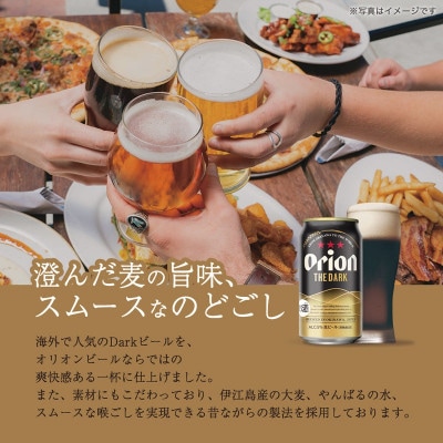オリオンビール オリオン ザ・ダーク(350ml×24本)