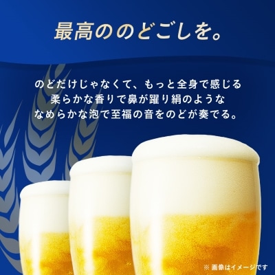 【毎月定期便】オリオンビール オリオン ザ・プレミアム(350ml×24本)全3回