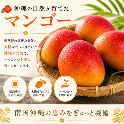 【化粧箱入り】沖縄マンゴー使用!マンゴードリンク 500ml×2本セット