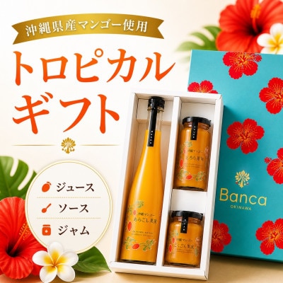 【化粧箱入り】沖縄マンゴー使用!トロピカルギフトセット