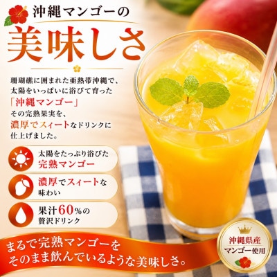 【化粧箱入り】沖縄マンゴー使用!トロピカルギフトセット
