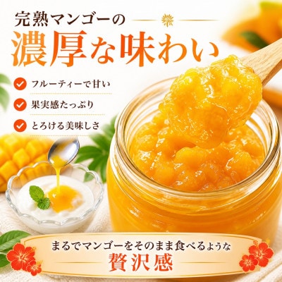 【化粧箱入り】沖縄マンゴー使用!トロピカルギフトセット