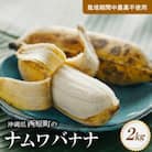西原町の栽培期間中農薬不使用のナムワバナナ2kg