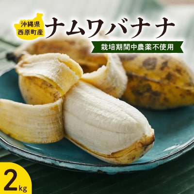 西原町の栽培期間中農薬不使用のナムワバナナ2kg