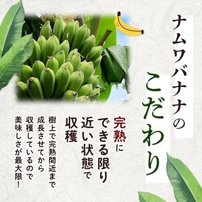 西原町の栽培期間中農薬不使用のナムワバナナ3kg