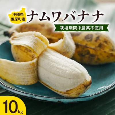 西原町の栽培期間中農薬不使用のナムワバナナ10kg
