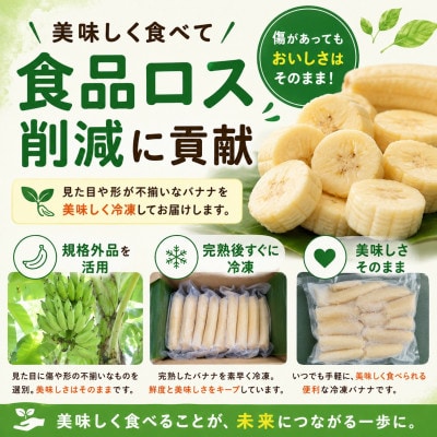 【皮むき不要】いつでも食べ頃!完熟冷凍アップルバナナ2kg
