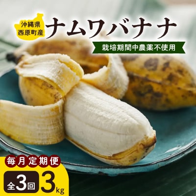 【毎月定期便】西原町の栽培期間中農薬不使用のナムワバナナ3kg全3回