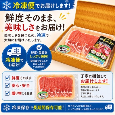 沖縄県産ブランド豚 ちゅらぶた ロースしゃぶしゃぶ用スライス 500g×1P