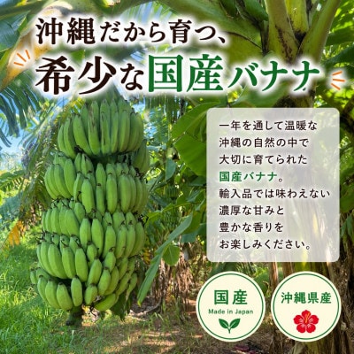 JAおきなわが厳選!季節の沖縄県産バナナ約2kg(旬の品種おまかせ)