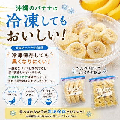 JAおきなわが厳選!季節の沖縄県産バナナ約2kg(旬の品種おまかせ)