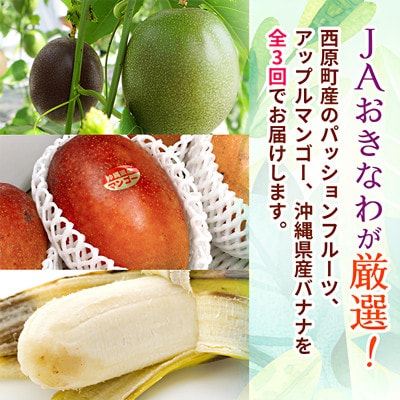 【発送月固定定期便】JAおきなわ厳選フルーツセット(パッションフルーツ・マンゴー・島バナナ)全3回