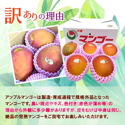 【発送月固定定期便】JAおきなわ厳選フルーツセット(パッションフルーツ・マンゴー・島バナナ)全3回