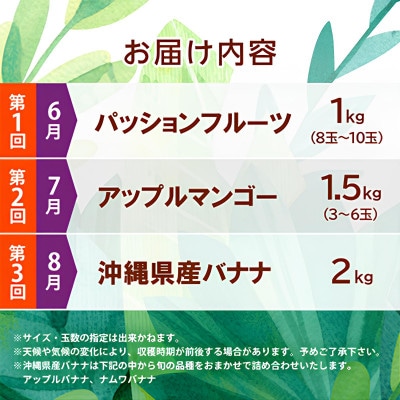 【発送月固定定期便】JAおきなわ厳選フルーツセット(パッションフルーツ・マンゴー・島バナナ)全3回