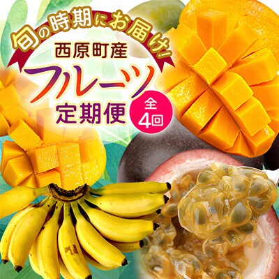 【発送月固定定期便】JAおきなわ厳選!季節の南国フルーツ 西原町の旬の味覚をお届け全4回