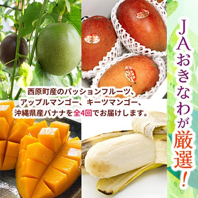 【発送月固定定期便】JAおきなわ厳選!季節の南国フルーツ 西原町の旬の味覚をお届け全4回