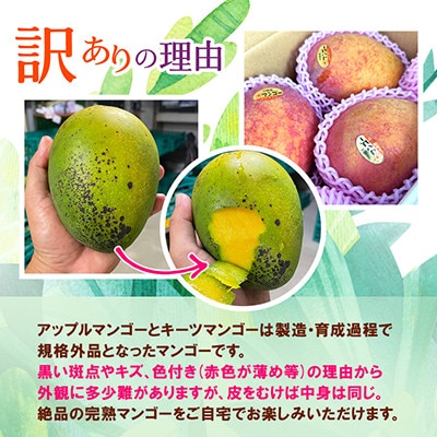 【発送月固定定期便】JAおきなわ厳選!季節の南国フルーツ 西原町の旬の味覚をお届け全4回